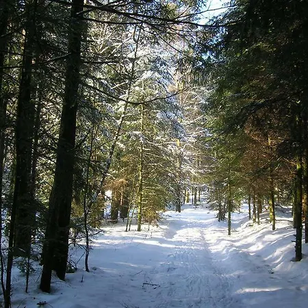 Ferienhaus Le Paradis *