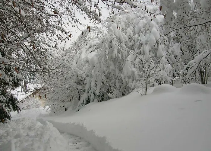 Le Paradis * Saint-Nabord