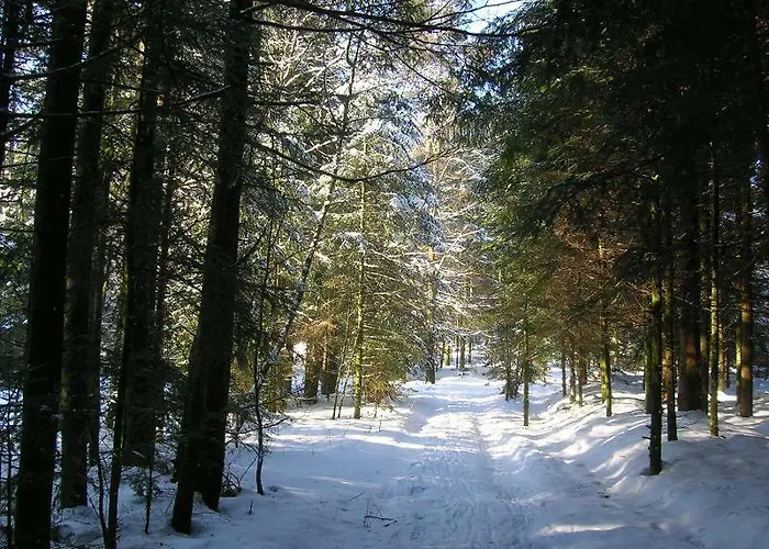 Casa de Férias Le Paradis *